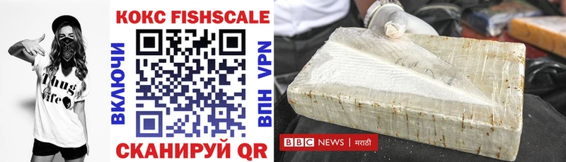 Cocaine FishScale  купить закладку  blacksprut сайт  Неман 