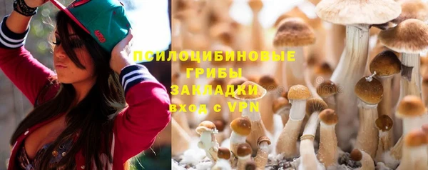 сатива Баксан