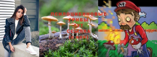сатива Баксан