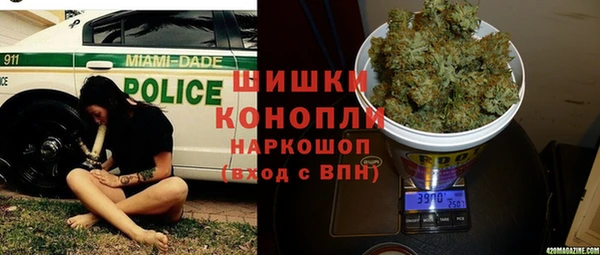 сатива Баксан
