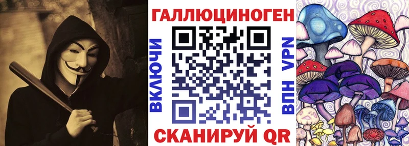 купить цена Неман Галлюциногенные грибы мицелий